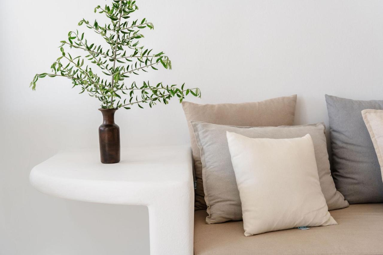 Villa Nausicaa Kastraki Naxos Naxos City エクステリア 写真