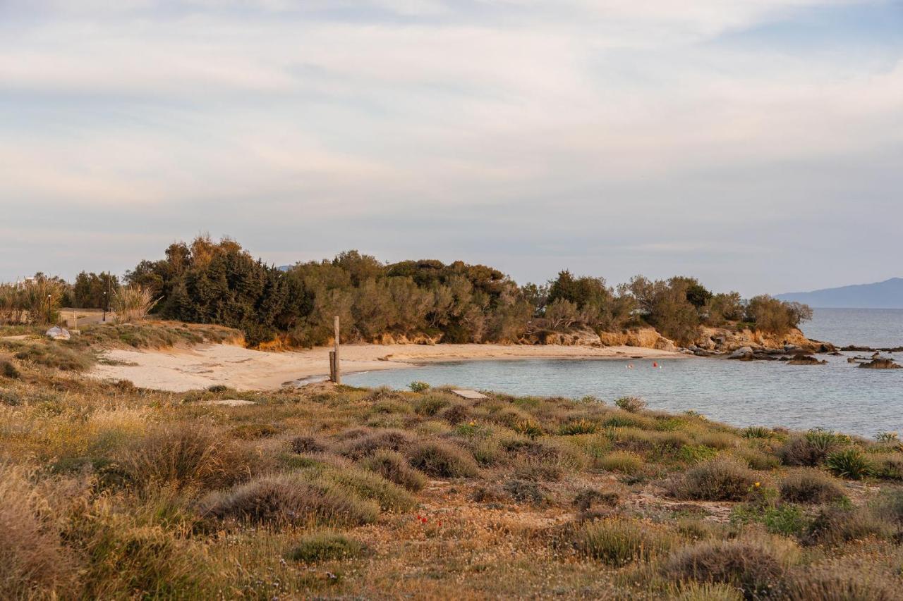 Villa Nausicaa Kastraki Naxos Naxos City エクステリア 写真